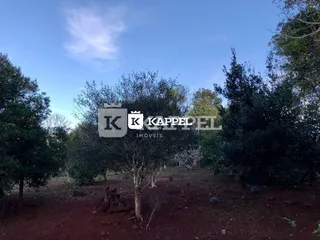 Área rural com 2 dormitórios, foto 22