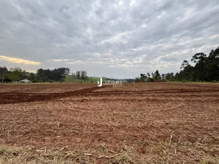Campo aberto com vegetação seca e árvores ao fundo.