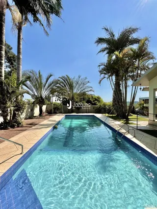 Piscina externa com palmeiras em Lajeado.