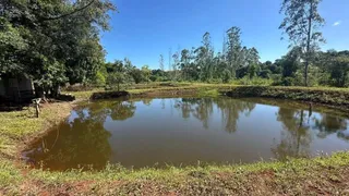 Área rural com 4 dormitórios, foto 28