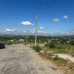 Vista externa de uma estrada com vegetação em uma área residencial.