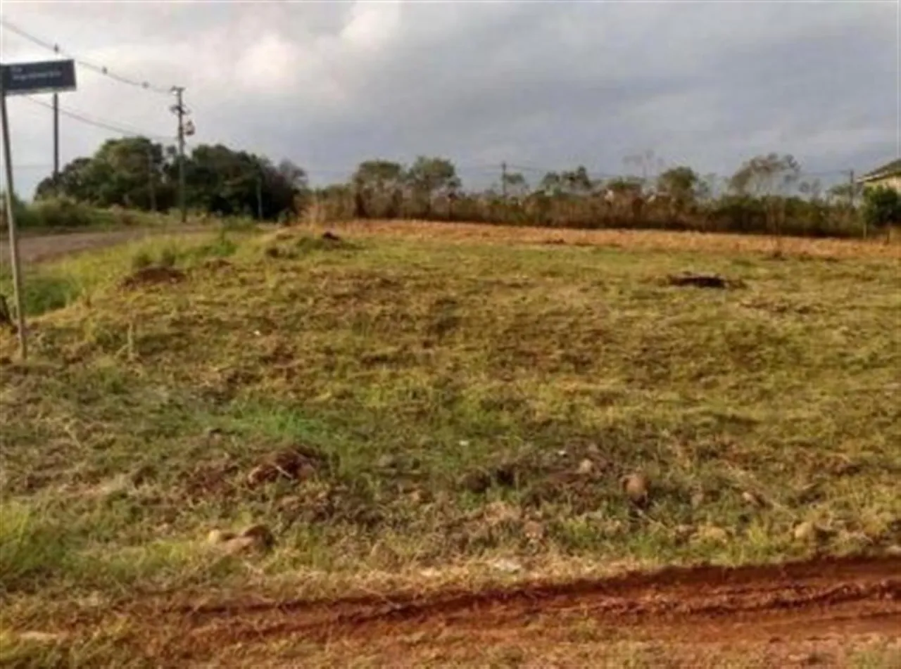 Terreno, foto 1