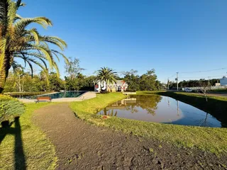 Terreno, foto 8
