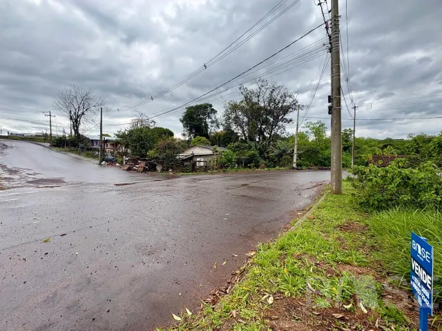 Terreno, foto 3