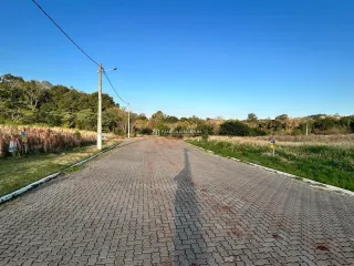 Vista de uma estrada pavimentada em uma área verde com vegetação ao redor.