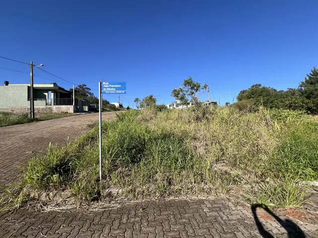 Vista externa mostrando uma estrada com vegetação alta sob um céu azul claro.