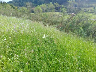 Área rural, foto 15