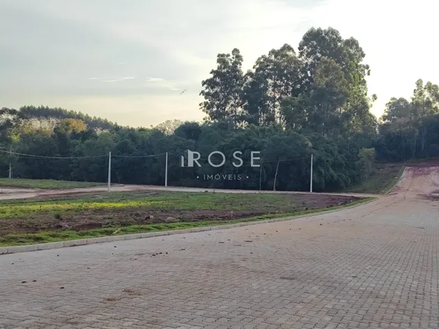 Terreno, foto 3