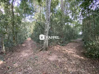 Área rural com 3 dormitórios, foto 30