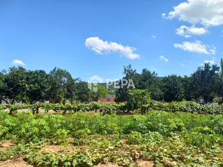 Área rural com 2 dormitórios, foto 31