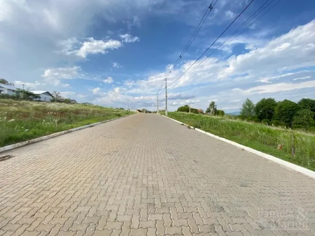 Vista externa de uma estrada pavimentada em uma área verde com vegetação ao redor.