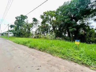 Vista de uma estrada com vegetação densa ao lado em Lajeado, Brasil.