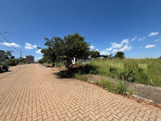 Vista da rua pavimentada em Lajeado, Brasil, com vegetação ao lado.