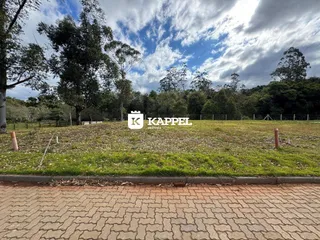 Vista de um terreno gramado com árvores ao fundo.