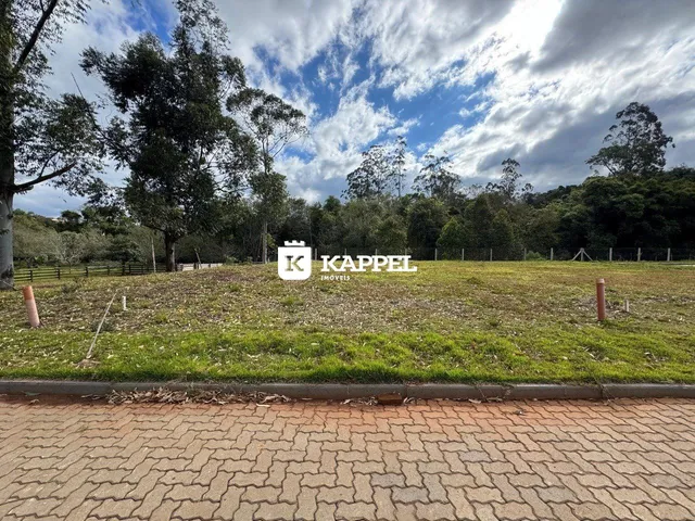 Vista de um terreno gramado com árvores ao fundo.