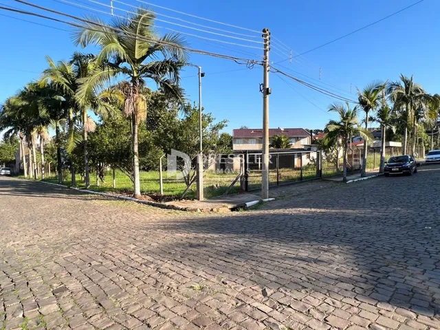 Terreno, foto 4