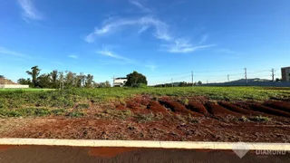 Terreno, foto 40