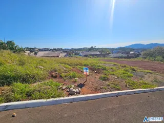 Terreno, foto 5