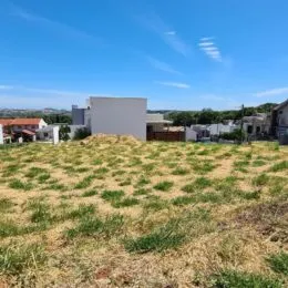 Área externa de terreno com vegetação seca sob um céu azul.