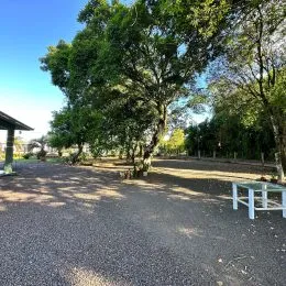 Vista externa de uma área com árvores e cascalho no terreno.
