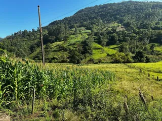 Área rural, foto 2