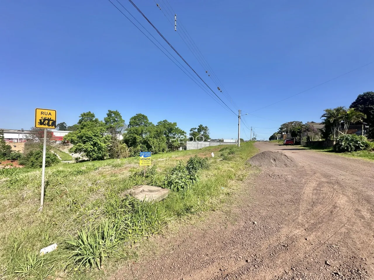 Vista da estrada de terra e vegetação ao lado de uma rua em Lajeado.