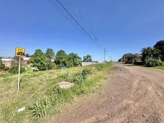 Vista da estrada de terra e vegetação ao lado de uma rua em Lajeado.