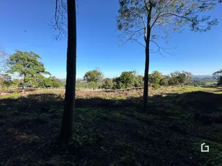 Paisagem de campo com árvores e vegetação em uma área rural.