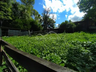 Área rural, foto 5