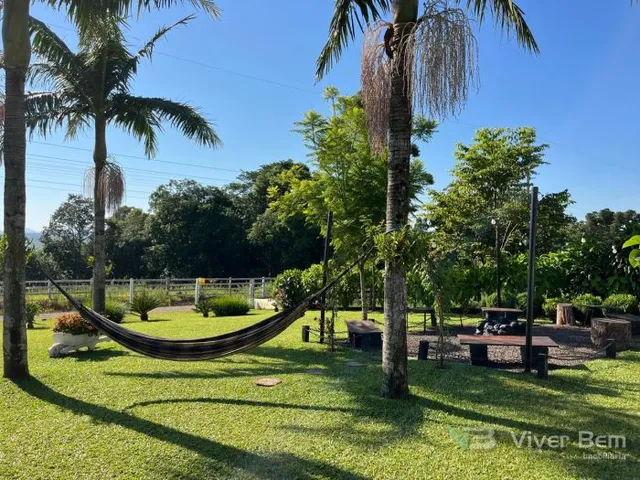 Área rural com 4 dormitórios, foto 3