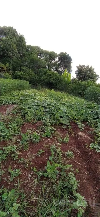 Terreno, foto 3