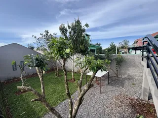 Vista externa de um jardim com árvores e muro de contenção.