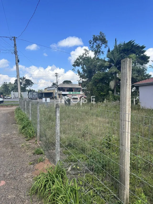 Terreno, foto 2