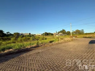 Terreno, foto 4
