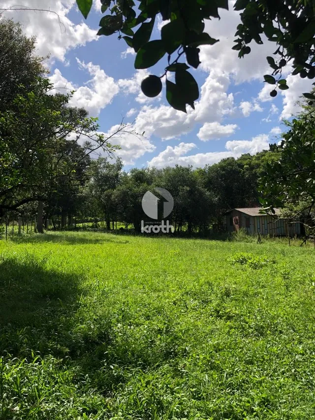 Área rural, foto 3