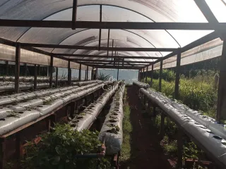 Área rural, foto 1