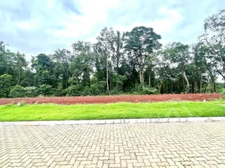 Terreno, foto 1