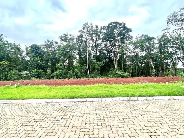Terreno