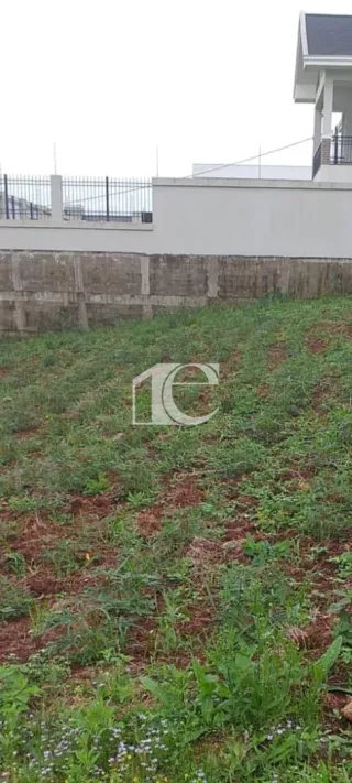 Terreno, foto 3