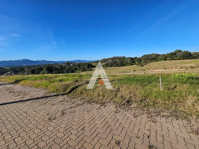 Terreno, foto 2