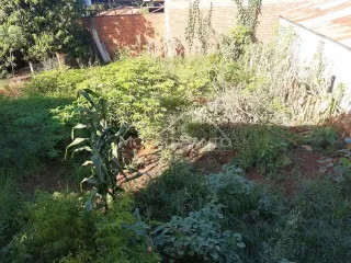 Casa com 3 dormitórios, foto 15