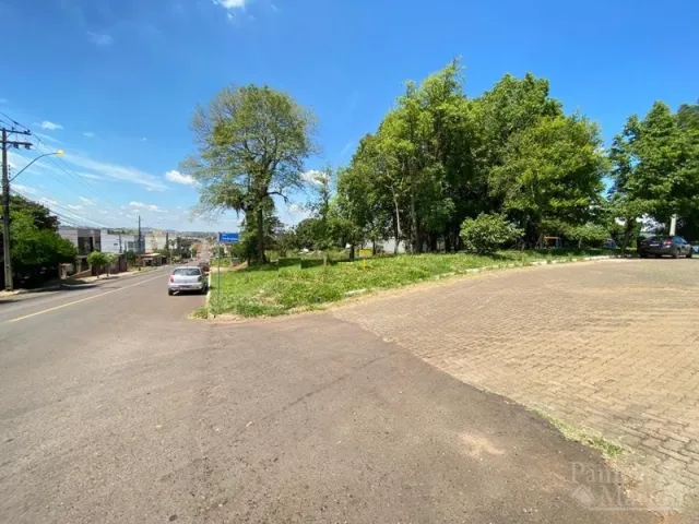 Vista externa de uma rua com árvores e céu azul.