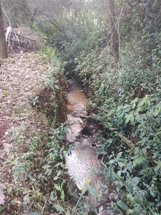 Área rural com 2 dormitórios, foto 16