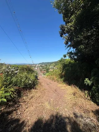 Área rural, foto 7