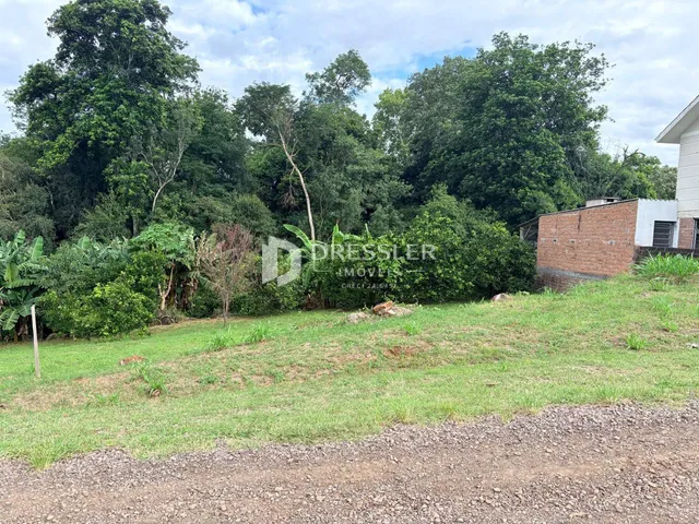 Terreno, foto 5