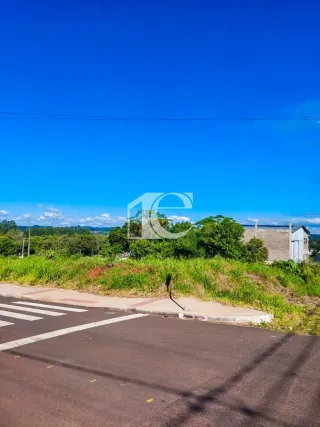 Terreno, foto 3
