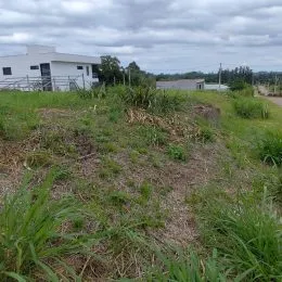 Terreno, foto 13