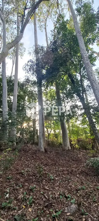 Área rural, foto 13