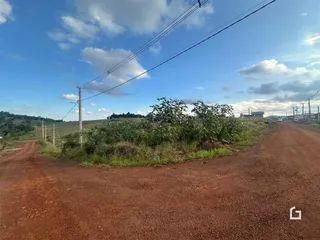 Uma estrada de terra vermelha atravessa uma área de vegetação densa sob um céu azul.