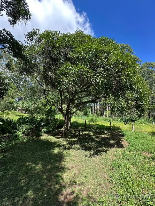 Área rural, foto 5